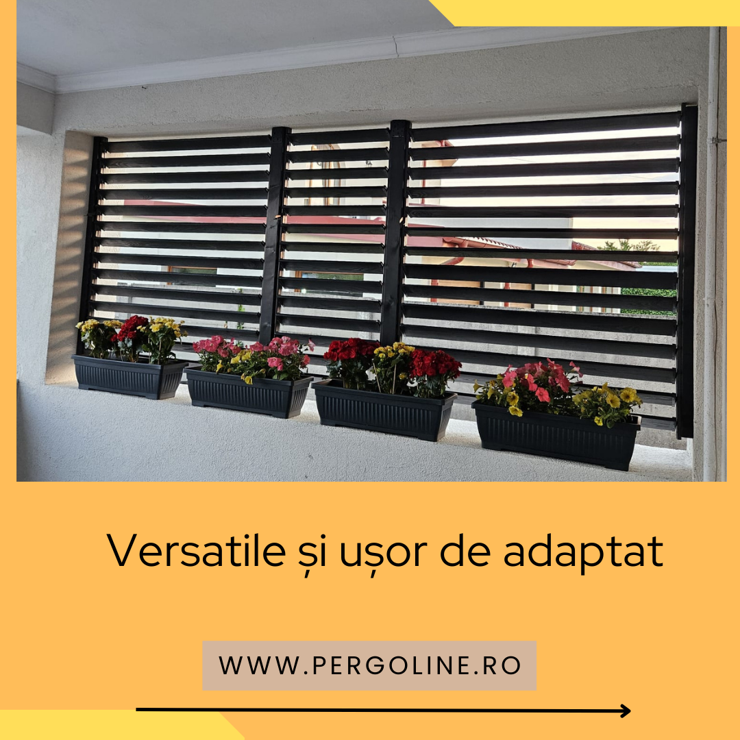 Galerie imagini